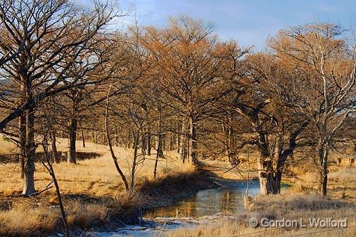 Drying Up Creek_44728.jpg - Photographed in Hill Country north of Medina, Texas, USA.